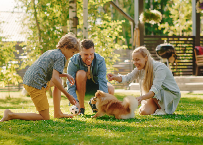 Vesen Yönetim Vizyon